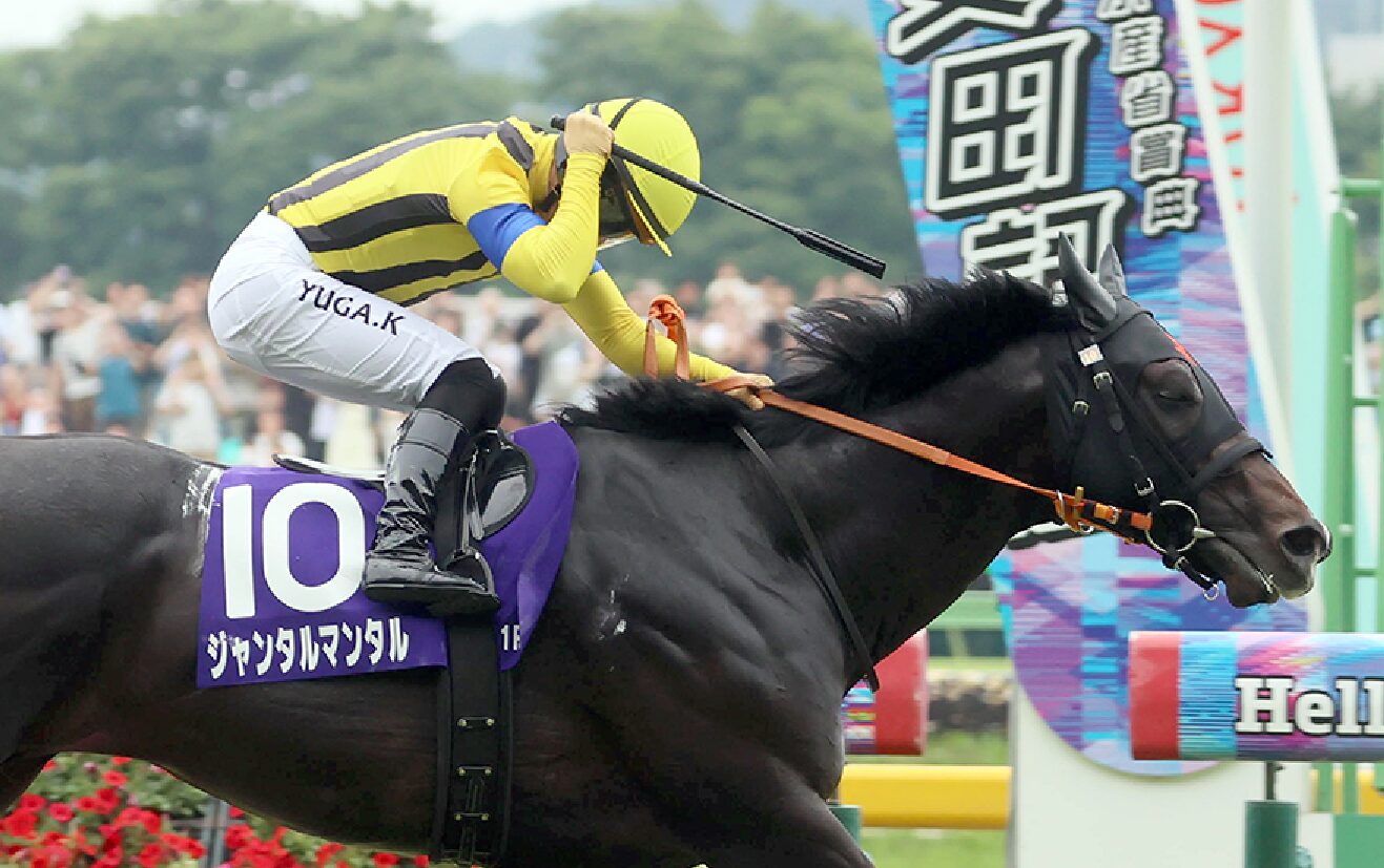 安田記念から得たもの・・・【2025/6/8/東京競馬】