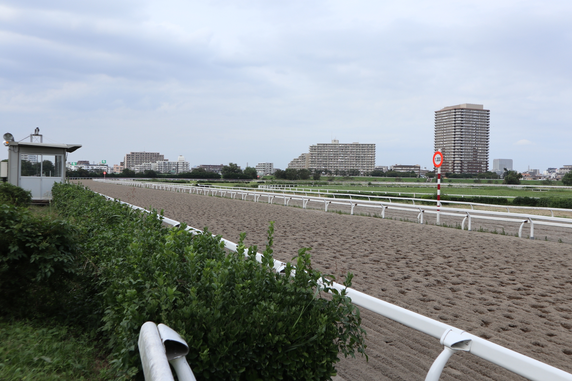 2024年4月3日（水）川崎記念（Jpn1）