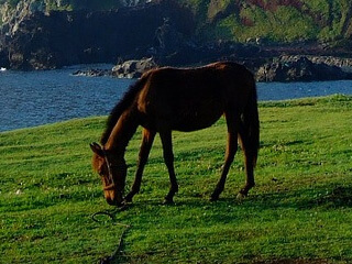 2025年2月22日(土)注目馬☆推薦馬&参考買い目