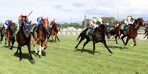 2025年8月16日（土）注目馬☆推薦馬＆参考買い目