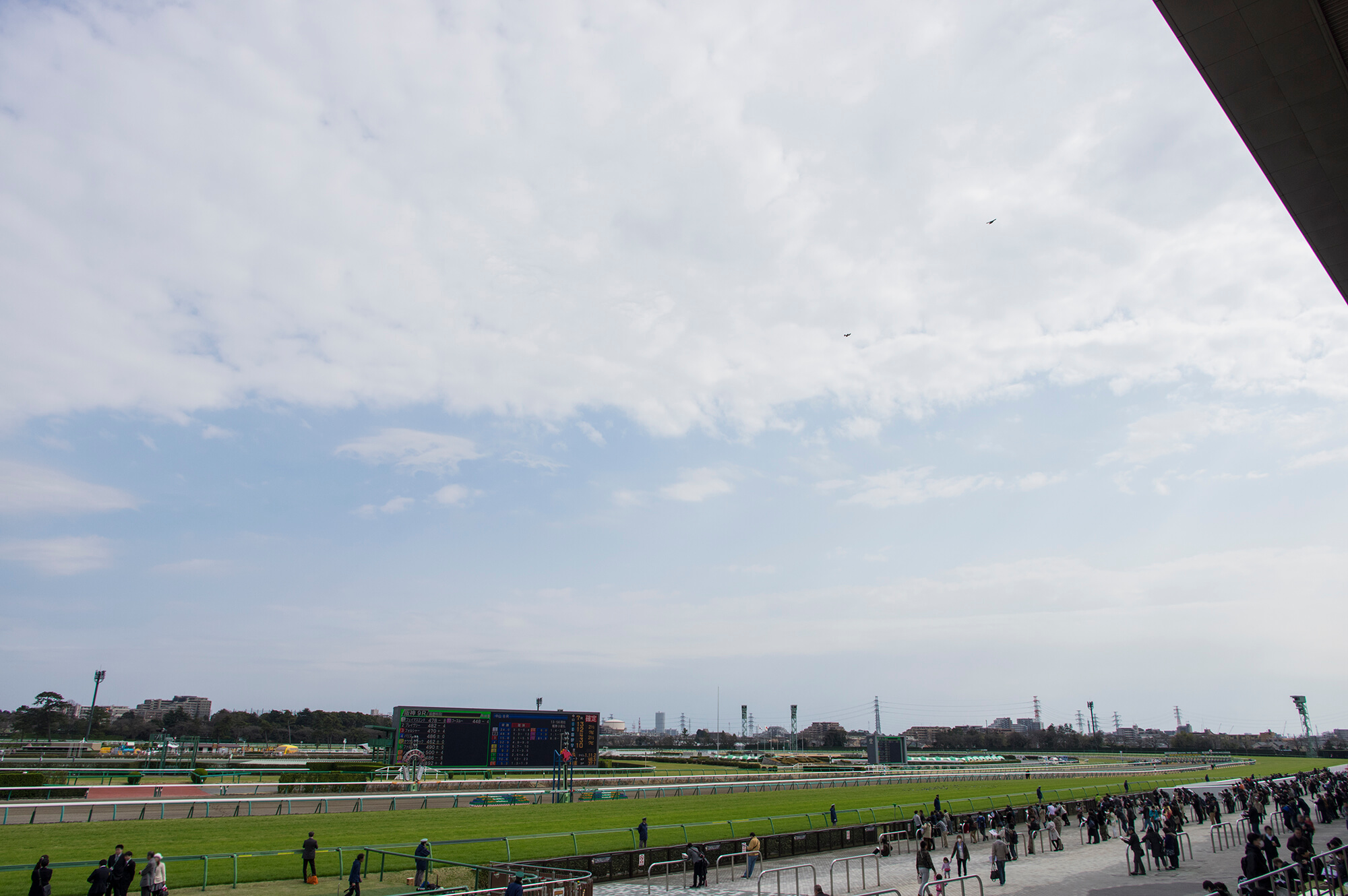 ■大阪杯■総合指数表（前日）＆2024年3月30日（土）注目馬☆推薦馬＆参考買い目