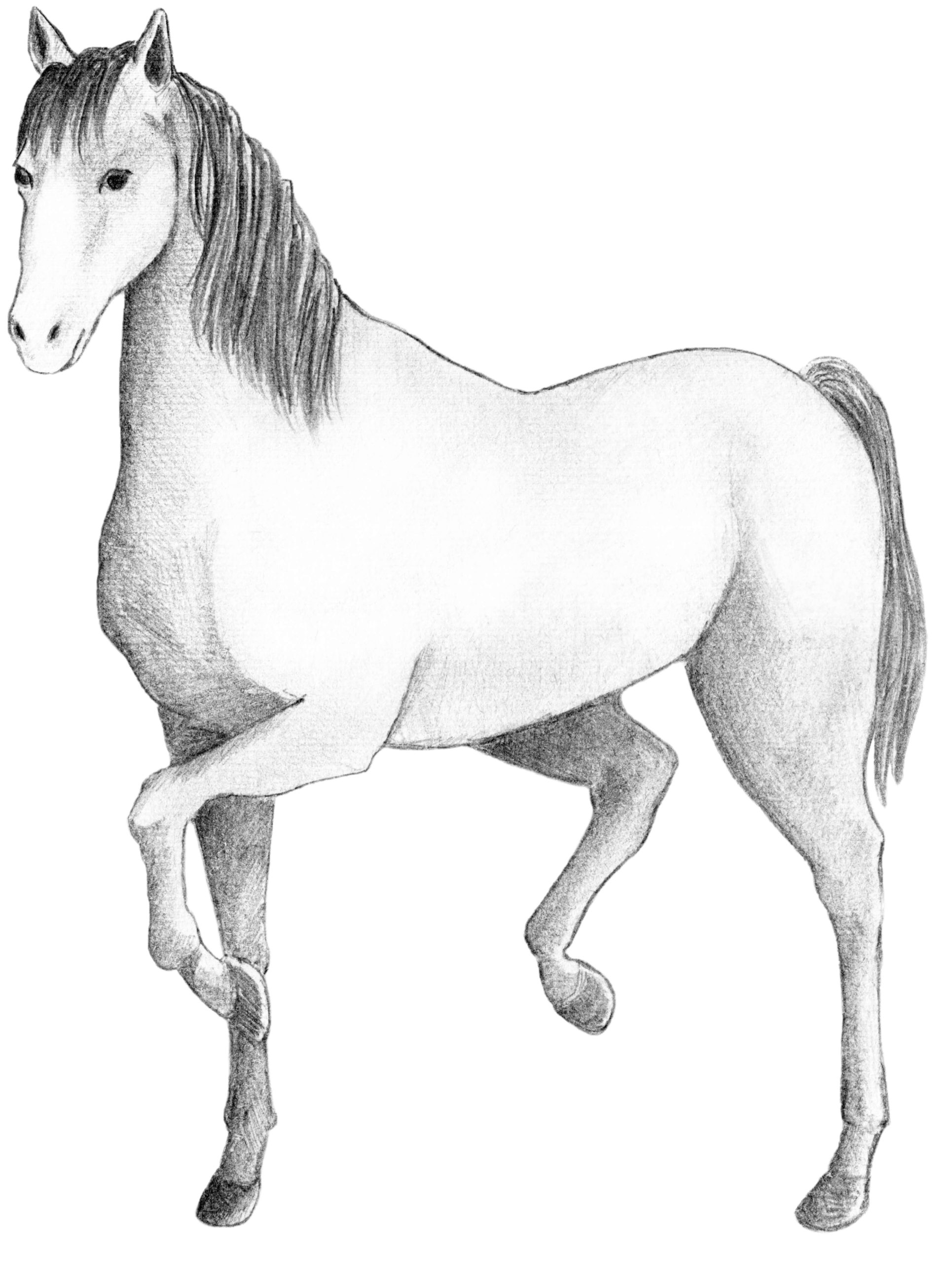 まだ間に合うセールと有馬記念は・・・