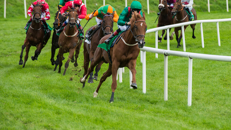 2025年5月18日（日）注目馬☆推薦馬＆参考買い目