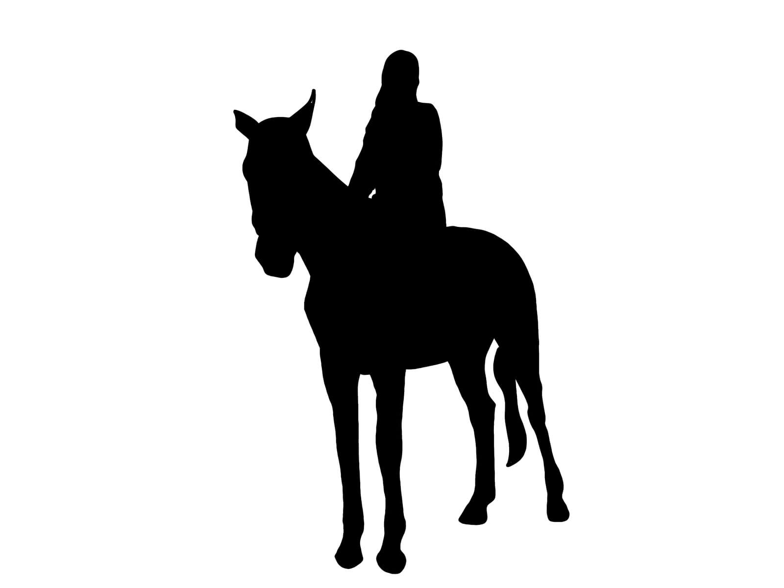 2024年2月4日（日）注目馬☆推薦馬＆参考買い目