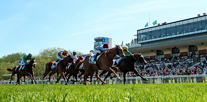 2025年8月2日（土）注目馬☆推薦馬＆参考買い目