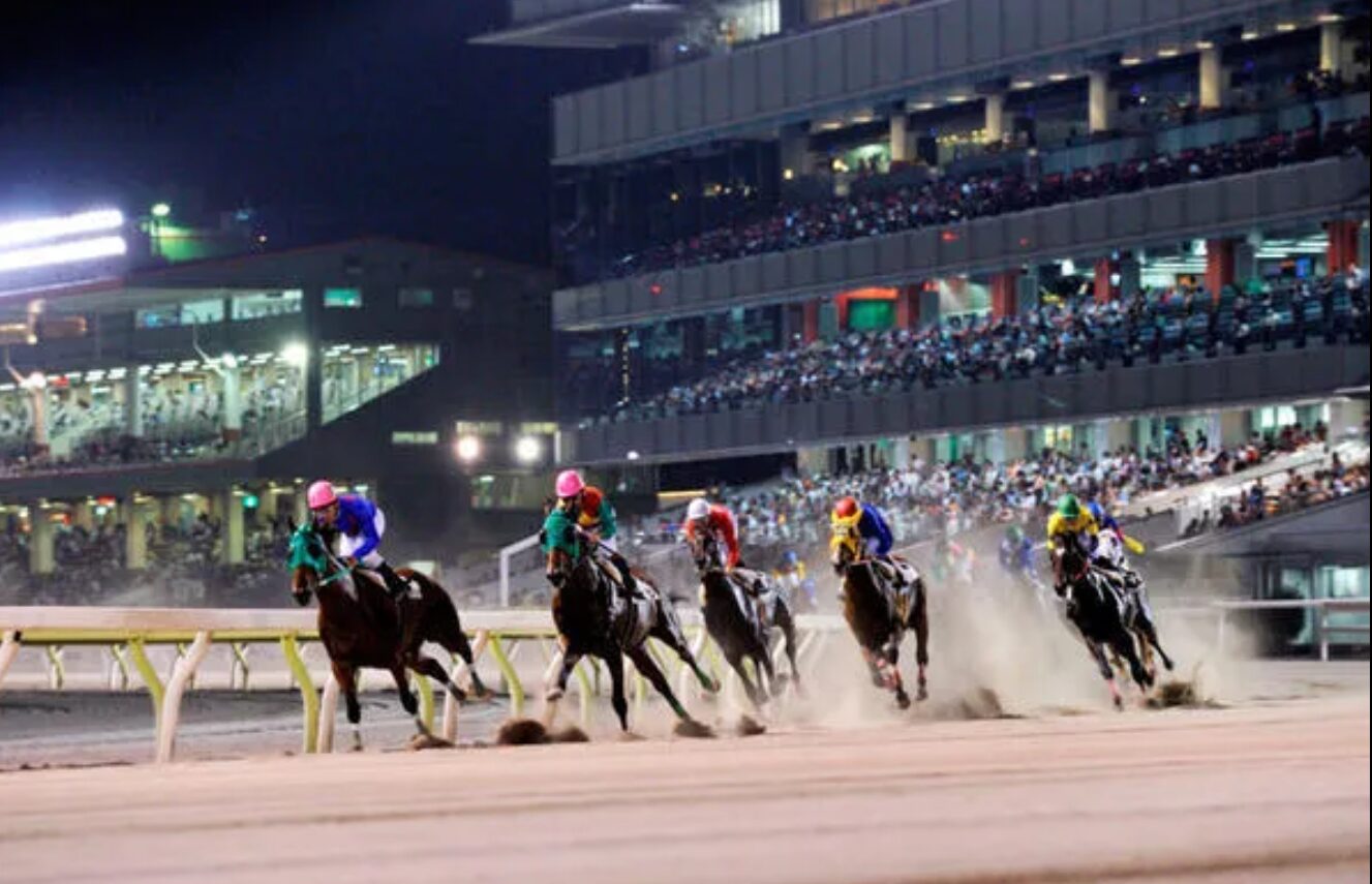 東京ダービー（Jpn I）【大井競馬】