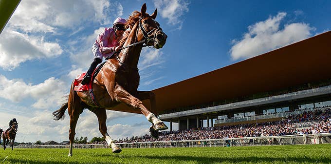 2025年4月20日（日）注目馬☆推薦馬＆参考買い目