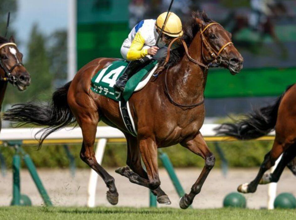 カナテープとキング騎手はすごい！＆【特別案内】