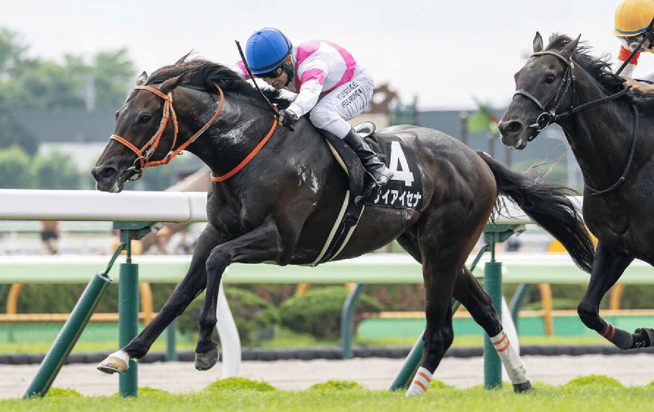 ケイアイセナが目指す先＆【会員案内】