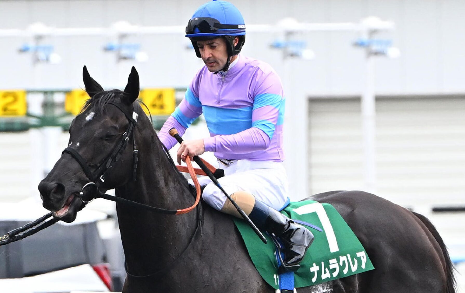 ナムラクレアはまだ走る！！