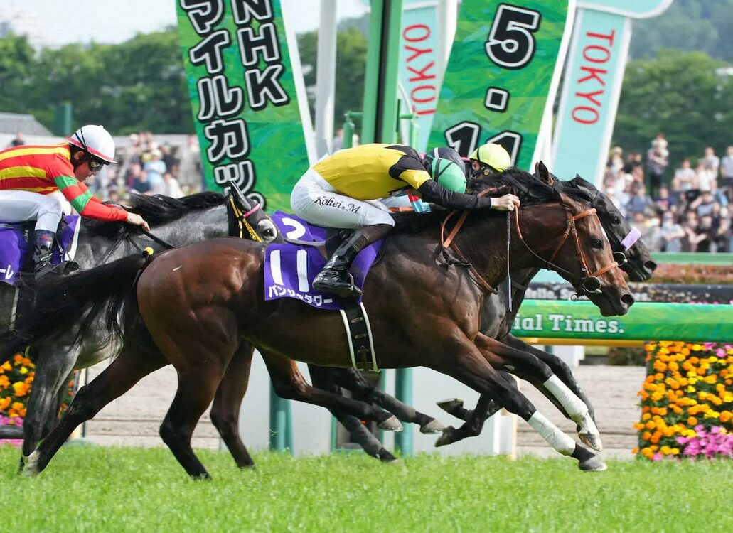 NHKマイルCから得たもの・・・【2025/5/11/東京競馬】