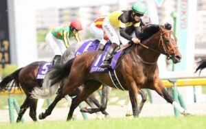 NHKマイルC　2025-5-11