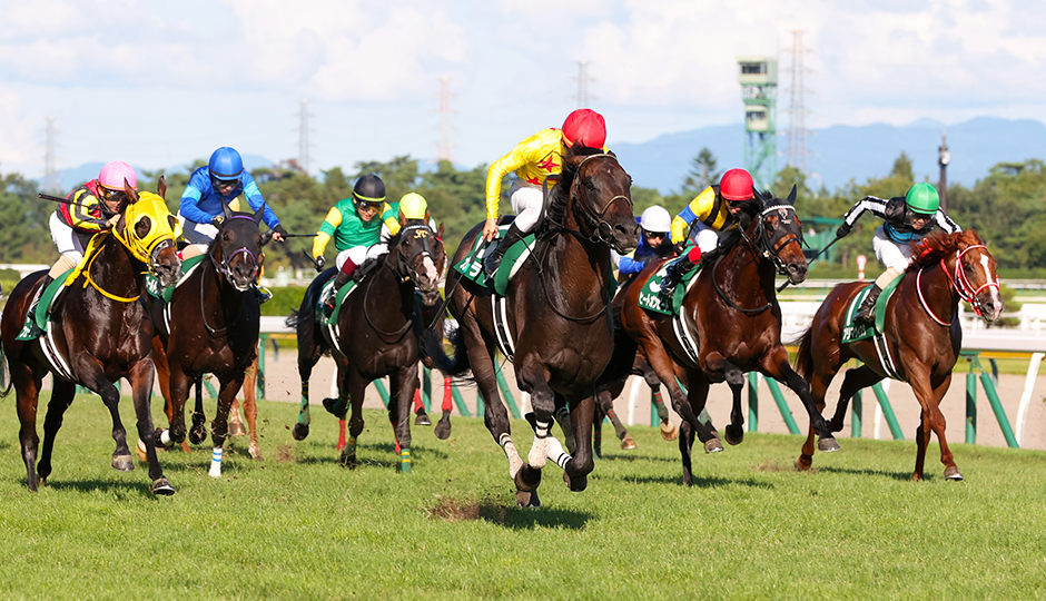 2025年8月31日（日）注目馬☆推薦馬＆参考買い目