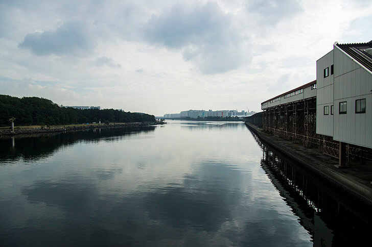 2022年2月5日(土)注目馬☆推薦馬&参考買い目