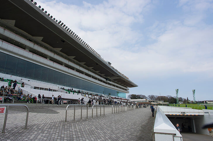 2025年8月17日（日）注目馬☆推薦馬＆参考買い目
