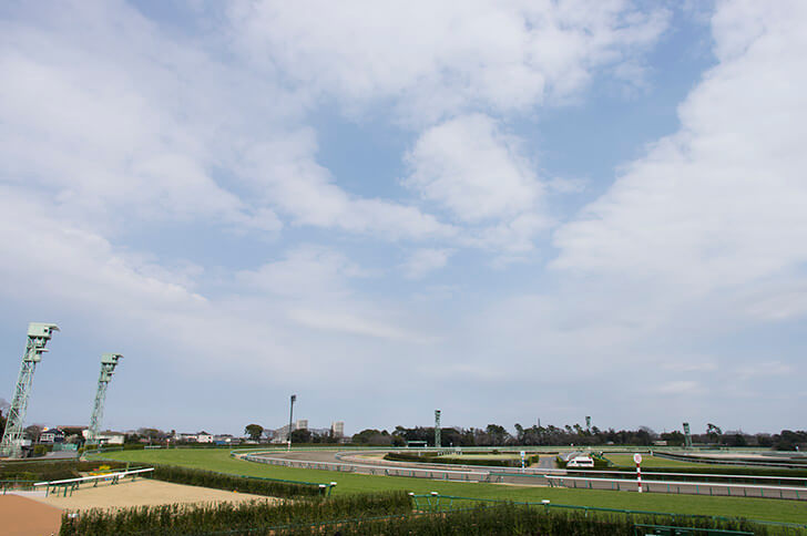 テンハッピーローズにはたまげた・・・■ヴィクトリアマイル　2024■