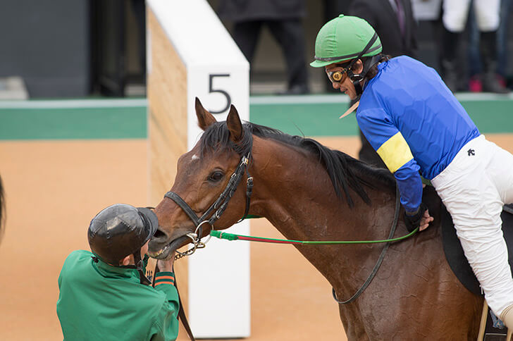 先週を振り返り・・・（2023年2月25日、2月26日）