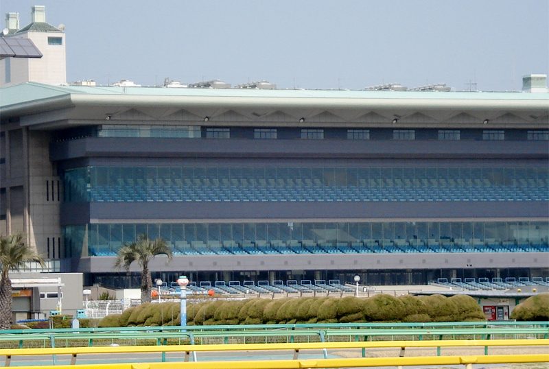 フェブラリーステークス■総合指数表(前日)&参考買い目