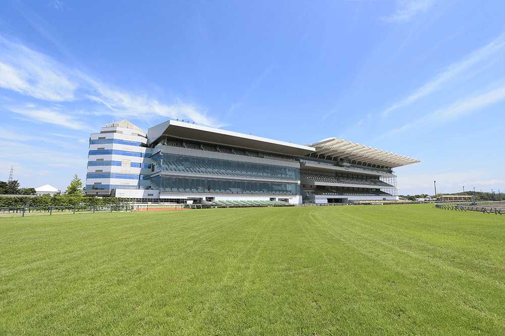 高松宮記念を終えて・・・【2025/3/30/中京競馬】