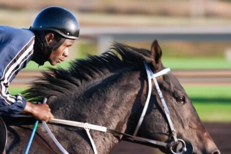 2026年5月2日（土）注目馬☆推薦馬＆参考買い目