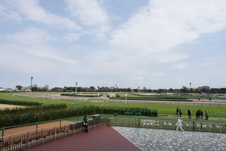 2025年5月4日（日）注目馬☆推薦馬＆参考買い目