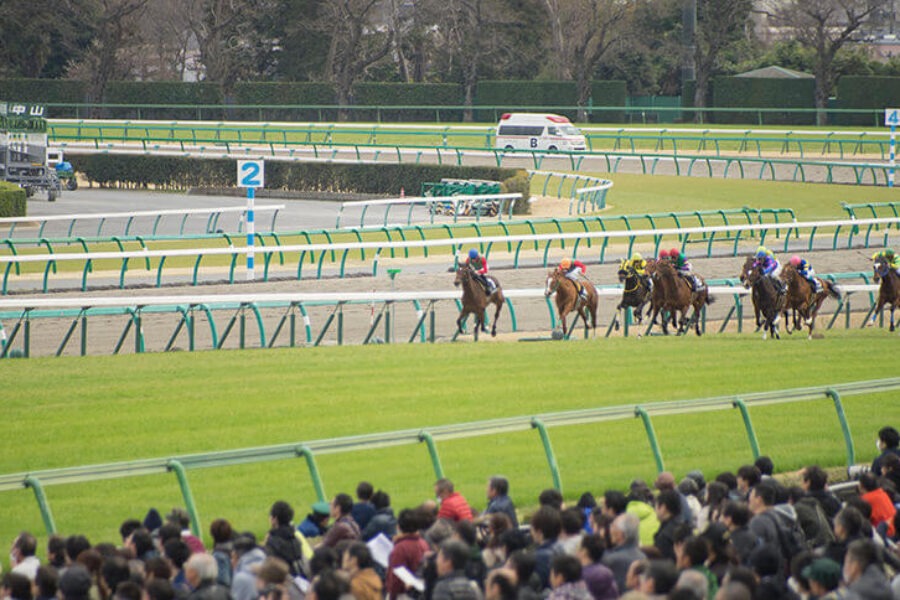 2022年6月12日（日）注目馬☆推薦馬＆参考買い目