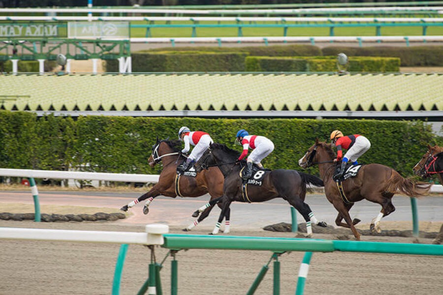 2023年11月5日（日）注目馬☆推薦馬＆参考買い目